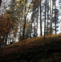 Herbsttage genießen und bewegen